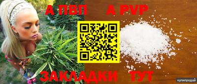 Альфа ПВП Будённовск